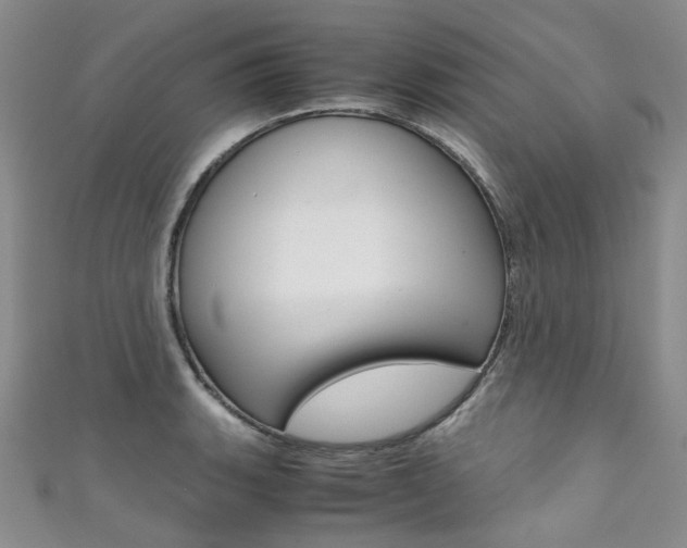 X0000111371135200907101012