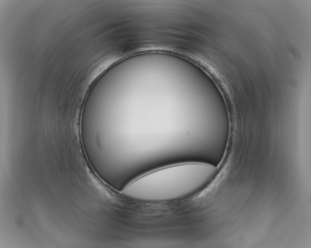 X0000111371137200907101012