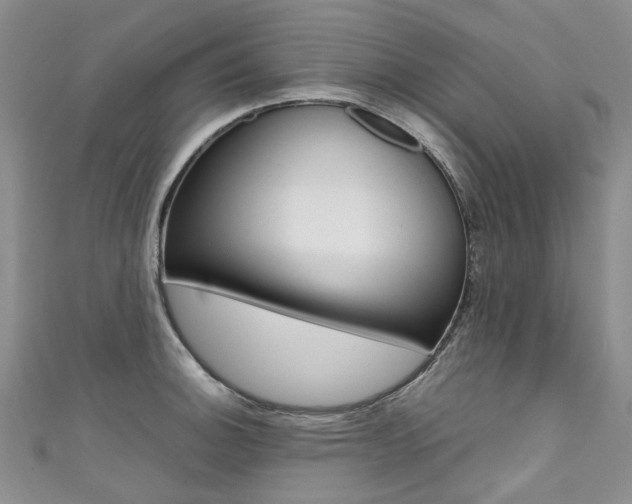 X0000111371140200907101012