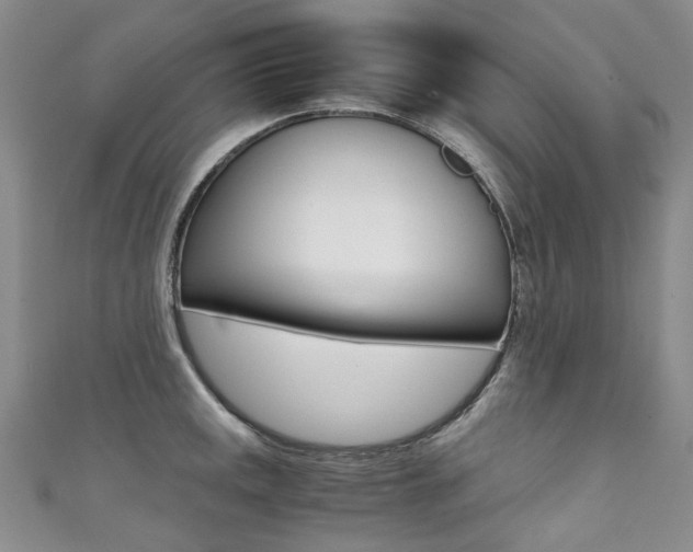 X0000111371141200907101012