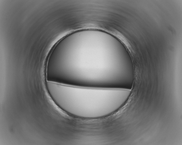 X0000111371142200907101012