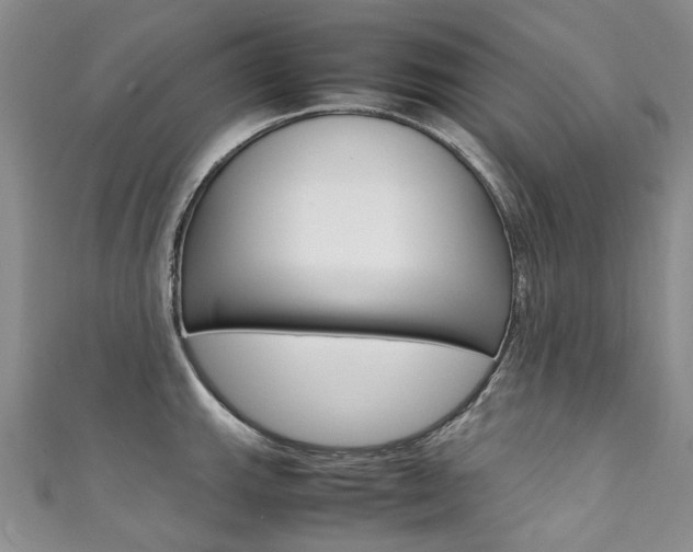 X0000111371143200907101012