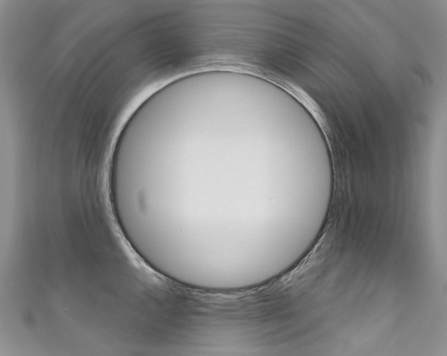 X0000111371144200907101012
