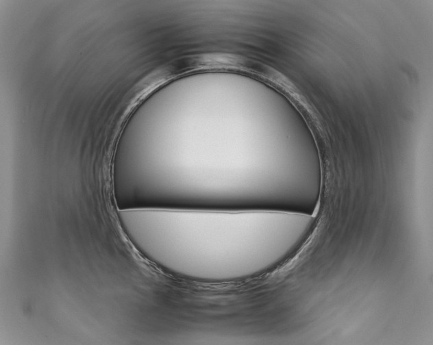 X0000111371145200907101012