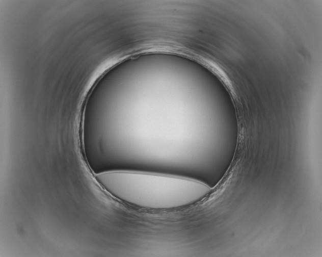 X0000111371146200907101012