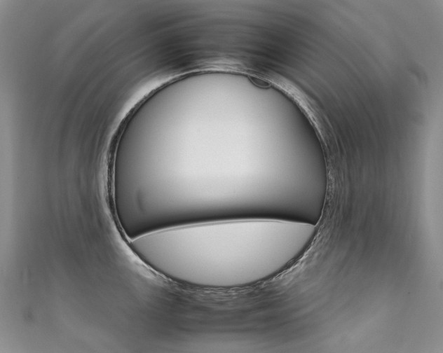 X0000111371147200907101012