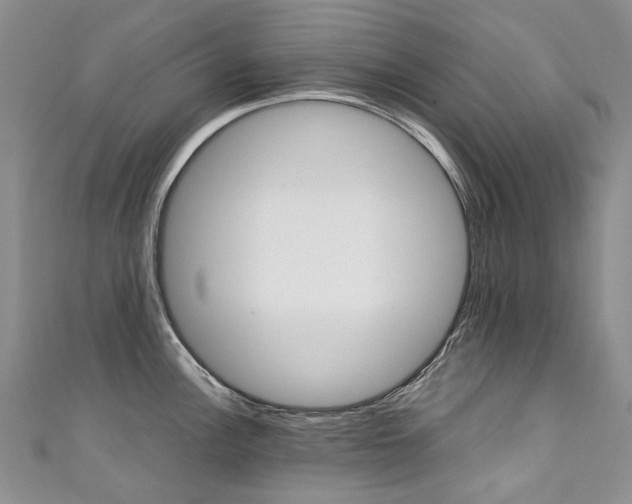 X0000111371148200907101012