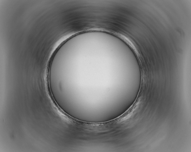 X0000111371149200907101012