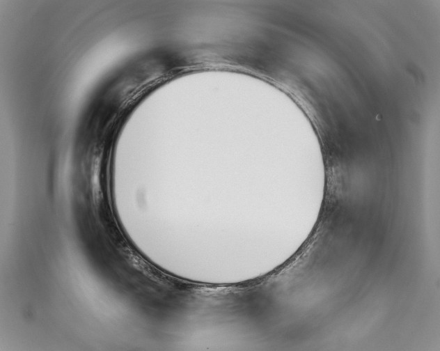 X0000111371150200907101012