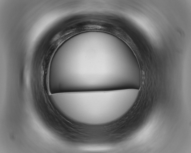 X0000111371151200907101012