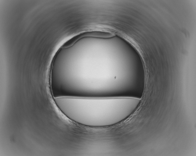 X0000111371152200907101012