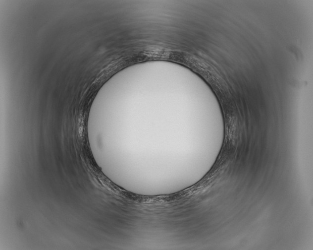 X0000111371154200907101011
