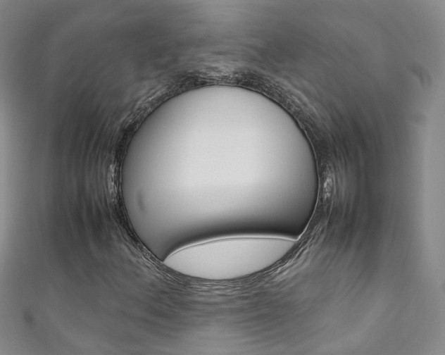 X0000111371156200907101011