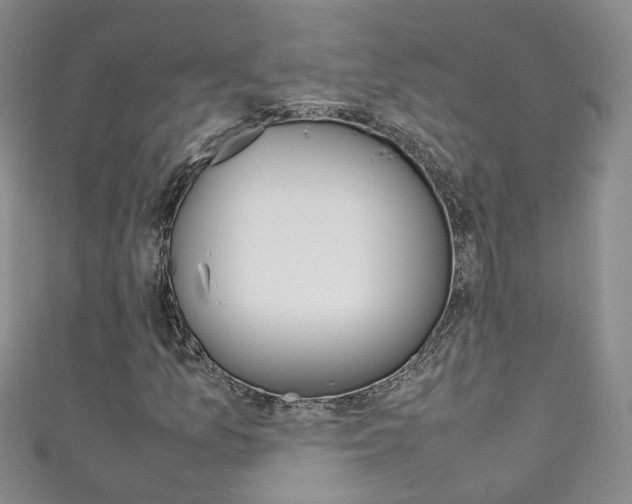 X0000111371157200907101011