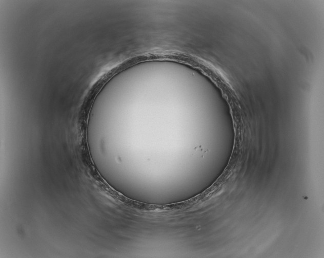 X0000111371160200907101011