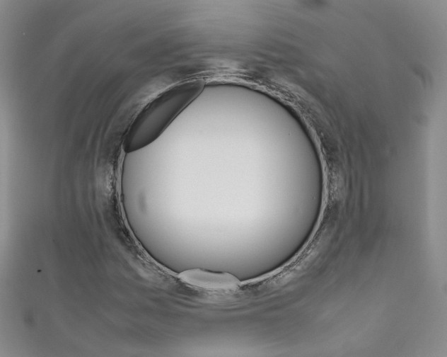 X0000111371161200907101011
