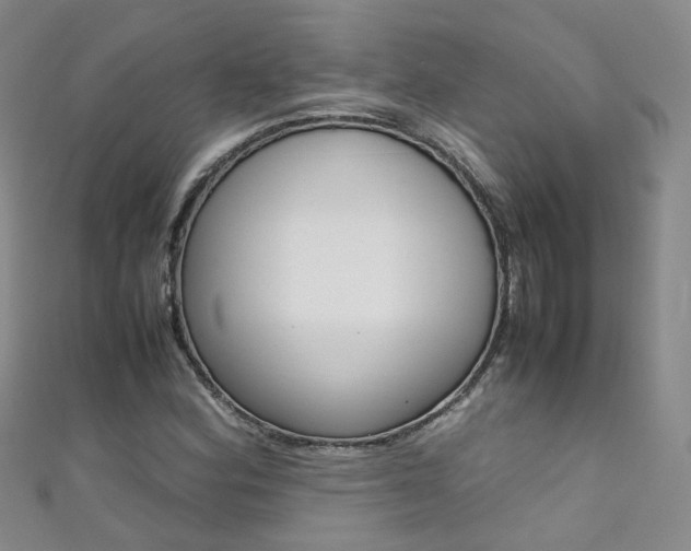 X0000111371164200907101011