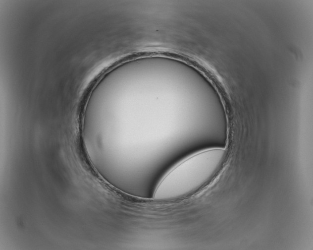 X0000111371167200907101011