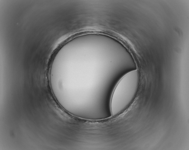 X0000111371168200907101011