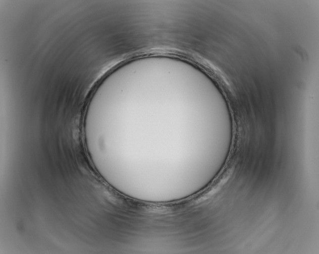 X0000111371170200907101011