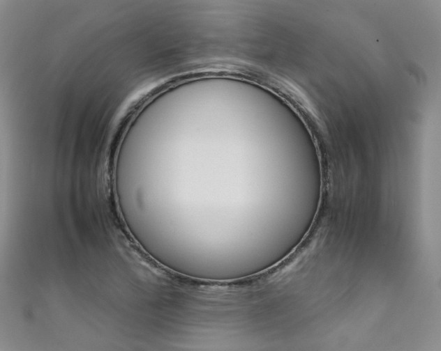 X0000111371172200907101011