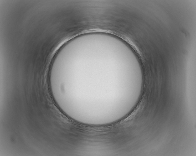 X0000111371173200907101011