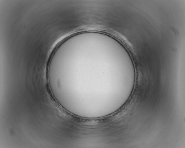 X0000111371174200907101011