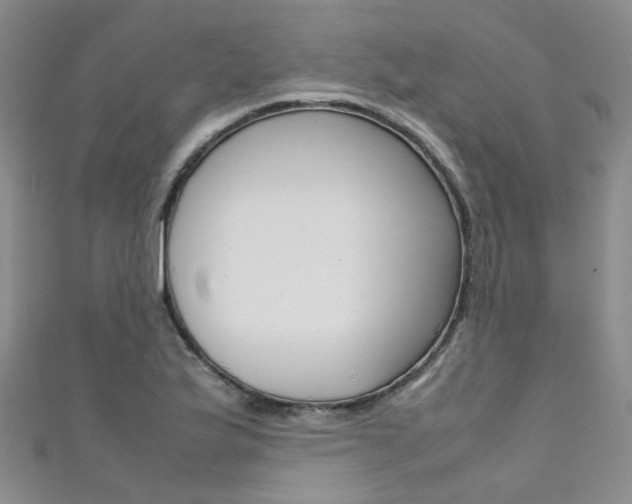 X0000111371175200907101011