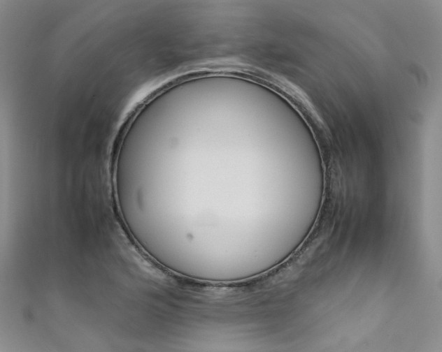 X0000111371176200907101011