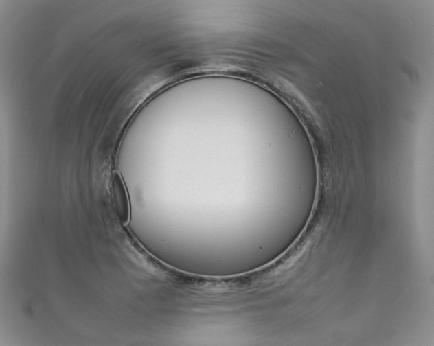 X0000111371177200907101011