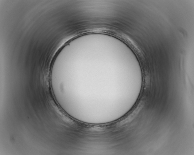 X0000111371178200907101011