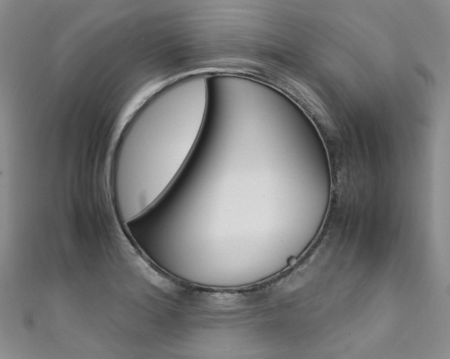 X0000111371180200907101011
