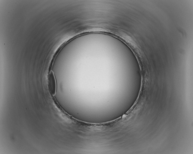 X0000111371181200907101011
