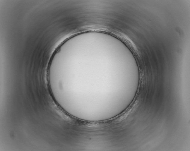 X0000111371182200907101011
