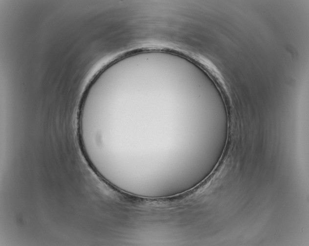 X0000111371183200907101011