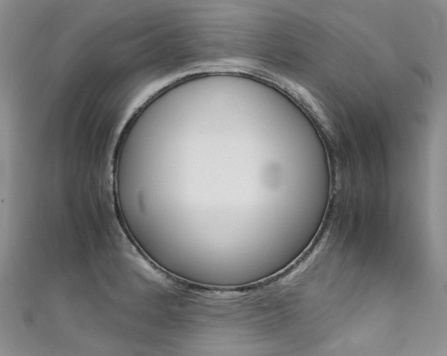X0000111371184200907101011