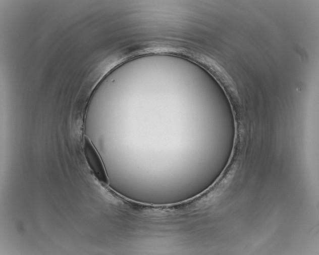 X0000111371185200907101011