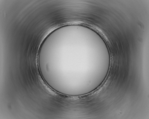 X0000111371186200907101011