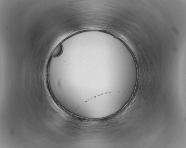 X0000111371187200907101011