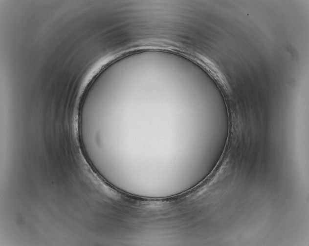 X0000111371188200907101011