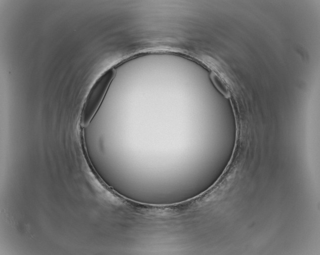 X0000111371189200907101011