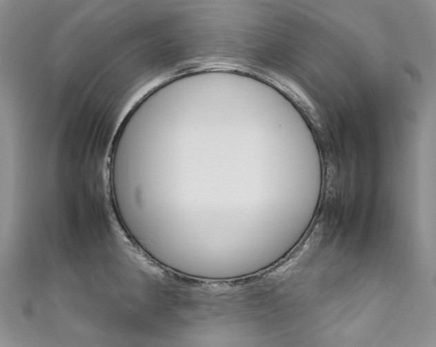 X0000111371190200907101011