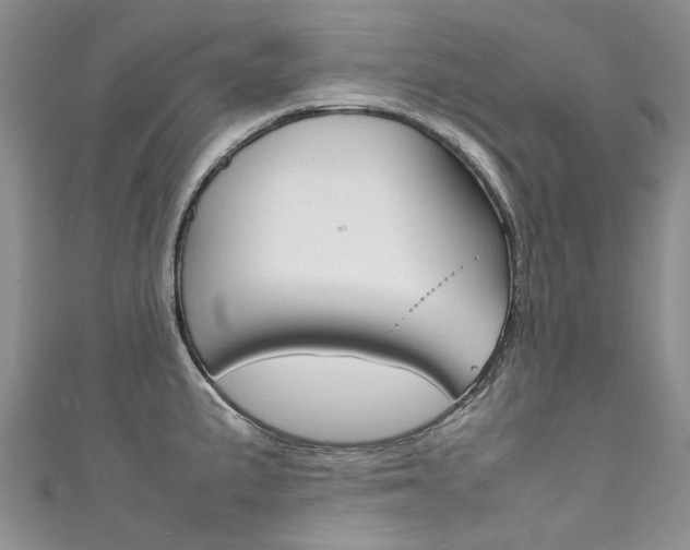 X0000111371191200907101011