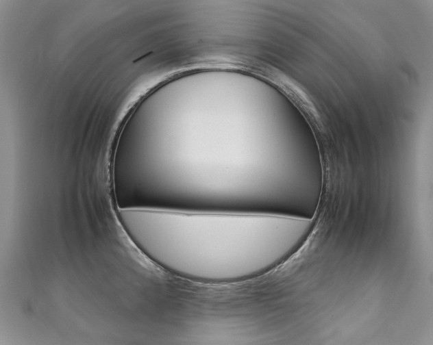 X0000111371192200907101011