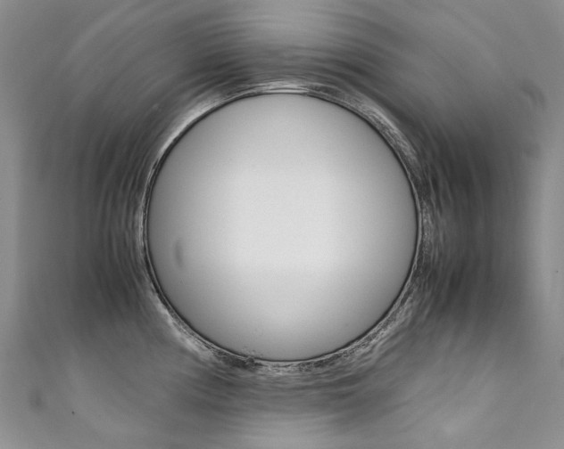 X0000111371194200907101011