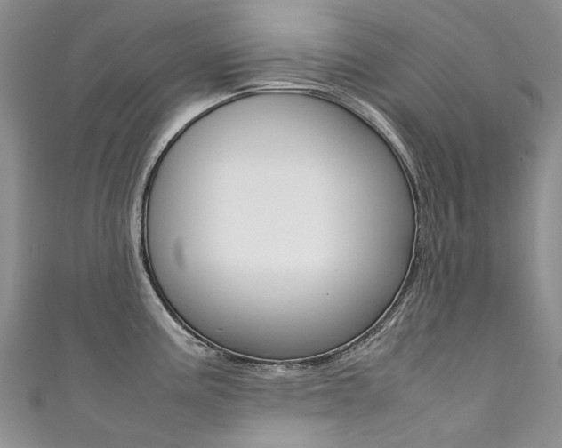 X0000111371195200907101011