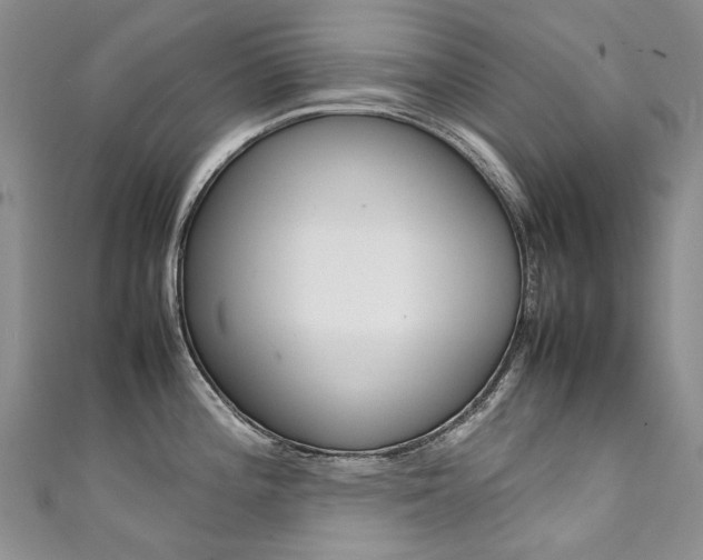 X0000111371196200907101011