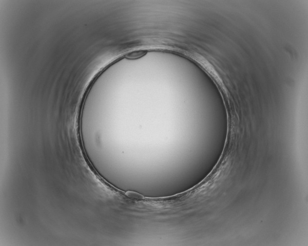 X0000111371197200907101011