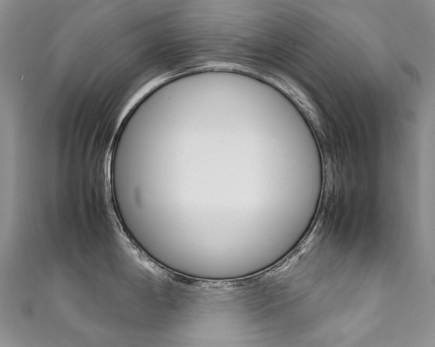 X0000111371198200907101011
