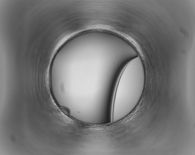 X0000111371199200907101011